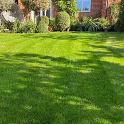 KissMyGrass Spring & Summer Lawn And Sportsfield Fertiliser 11.5.5 (1 X 20kg) 7 KissMyGrass Spring & Summer Lawn And Sportsfield Fertiliser 11.5.5 (1 X 20kg) -Draper Tool Shop kissmygrass spring summer lawn and sportsfield fertiliser 11 5 5 1 x 20kg 00003570 02c MP