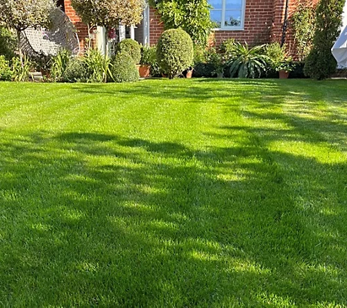 KissMyGrass Spring & Summer Lawn And Sportsfield Fertiliser 11.5.5 (1 X 20kg) 4 KissMyGrass Spring & Summer Lawn And Sportsfield Fertiliser 11.5.5 (1 X 20kg) - Image 2