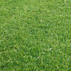 KissMyGrass Weed, Feed & Moss Killer (5 X 20kg) 8 KissMyGrass Weed, Feed & Moss Killer (5 X 20kg) -Draper Tool Shop kissmygrass weed feed moss killer 5 x 20kg 00003789 03c MP