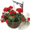 Large Artificial Geranium Flowers Rattan Hanging Basket Decoration Red 30cm -Draper Tool Shop large artificial geranium flowers rattan hanging basket decoration red 30cm5055837297449 01c MP