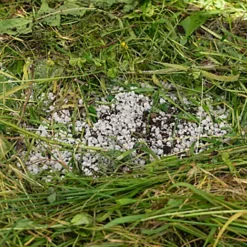 LAVA-LITE Composter, Compost Conditioner, 1 Litre -Draper Tool Shop lava lite composter compost conditioner 1 litre0652217951806 03c MP