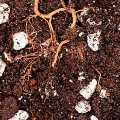 LAVA-LITE Soil Restore, Improves Soil Structure Naturally, 3 Litres -Draper Tool Shop lava lite soil restore improves soil structure naturally 3 litres0652217095685 03c MP