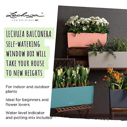 LECHUZA BALCONERA Color 50 Slate Window Box Self-watering Planter With Substrate And Water Level Indicator H19 L50 W19 Cm, 8L 4 LECHUZA BALCONERA Color 50 Slate Window Box Self-watering Planter With Substrate And Water Level Indicator H19 L50 W19 Cm, 8L - Image 2