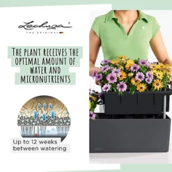 LECHUZA BALCONERA Color 50 Slate Window Box Self-watering Planter With Substrate And Water Level Indicator H19 L50 W19 Cm, 8L 8 LECHUZA BALCONERA Color 50 Slate Window Box Self-watering Planter With Substrate And Water Level Indicator H19 L50 W19 Cm, 8L -Draper Tool Shop lechuza balconera color 50 slate window box self watering planter with substrate and water level indicator h19 l50 w19 cm 8l4008789156730 03c MP