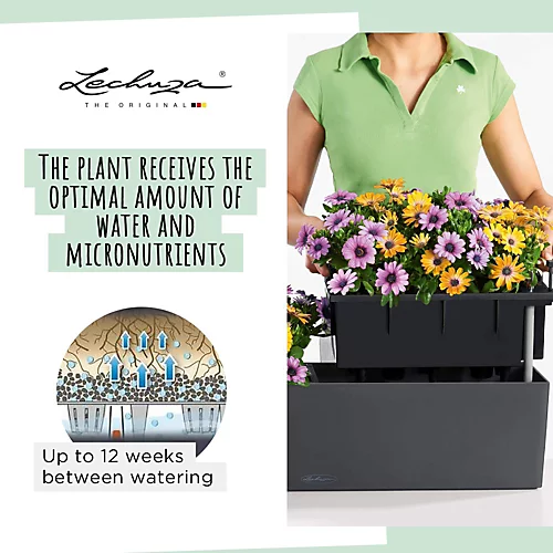 LECHUZA BALCONERA Color 50 Slate Window Box Self-watering Planter With Substrate And Water Level Indicator H19 L50 W19 Cm, 8L 5 LECHUZA BALCONERA Color 50 Slate Window Box Self-watering Planter With Substrate And Water Level Indicator H19 L50 W19 Cm, 8L - Image 3