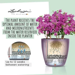 LECHUZA CLASSICO Color 18 White Table Self-watering Planter With Substrate And Water Level Indicator D19 H17 Cm, 2.5L -Draper Tool Shop lechuza classico color 18 white table self watering planter with substrate and water level indicator d19 h17 cm 2 5l4008789132611 03c MP