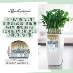 LECHUZA CUBICO Color 30 Sand Brown Floor Self-watering Planter With Substrate And Water Level Indicator H56 L30 W30 Cm, 14L -Draper Tool Shop lechuza cubico color 30 sand brown floor self watering planter with substrate and water level indicator h56 l30 w30 cm 14l4008789132888 03c MP