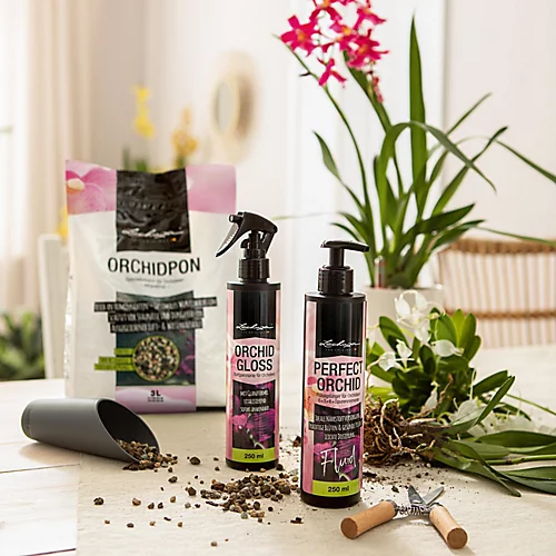 LECHUZA Liquid Orchid Fertiliser Perfect Orchid Fluid, 250 Ml 4 LECHUZA Liquid Orchid Fertiliser Perfect Orchid Fluid, 250 Ml - Image 2