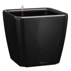 LECHUZA QUADRO LS 50 Black High-Gloss Self-watering Planter With Substrate And Water Level Indicator H47 L50 W50 Cm, 118L