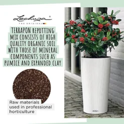 LECHUZA TERRAPON Peat-Free Soil For Outdoor Plants Organic Perlite Potting Compost For Indoor Plants 6 Liter 8 LECHUZA TERRAPON Peat-Free Soil For Outdoor Plants Organic Perlite Potting Compost For Indoor Plants 6 Liter -Draper Tool Shop lechuza terrapon peat free soil for outdoor plants organic perlite potting compost for indoor plants 6 liter4008789195715 03c MP