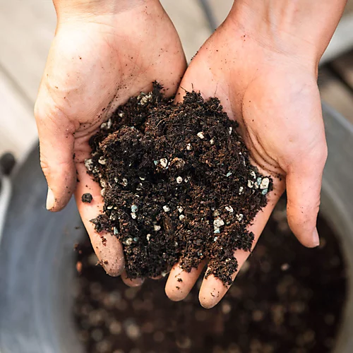 LECHUZA VEGGIEPON Organic Peat-Free Potting Compost For Vegetables Growing 12 Liter 5 LECHUZA VEGGIEPON Organic Peat-Free Potting Compost For Vegetables Growing 12 Liter - Image 3