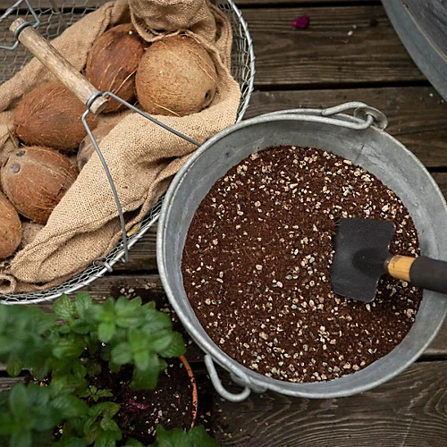 LECHUZA VEGGIEPON Organic Peat-Free Potting Compost For Vegetables Growing 12 Liter 6 LECHUZA VEGGIEPON Organic Peat-Free Potting Compost For Vegetables Growing 12 Liter - Image 4