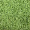Linden Medium Density Artificial Grass (L)4m (W)1m (T)32mm 2 Linden Medium Density Artificial Grass (L)4m (W)1m (T)32mm -Draper Tool Shop linden medium density artificial grass l 4m w 1m t 32mm3663602425236 36c