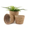 LIVIVO 3 Medium Seagrass Handwoven Belly Flower Plant Pots - Natural Indoor Woven Planter Pot - Great For Office & Home Decoration -Draper Tool Shop livivo 3 medium seagrass handwoven belly flower plant pots natural indoor woven planter pot great for office home decoration5056295309965 01c MP
