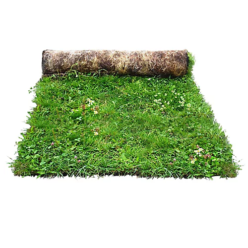 Meadowmat Wildflower Turf, 20m² Pack 3 Meadowmat Wildflower Turf, 20m² Pack