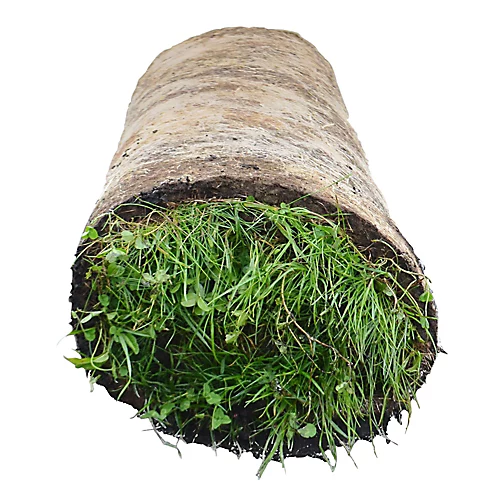 Meadowmat Wildflower Turf, 20m² Pack 4 Meadowmat Wildflower Turf, 20m² Pack - Image 2