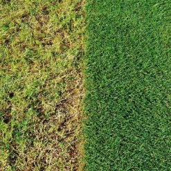 Miracle Gro Lawn Feed EverGreen Complete 4in1 Spreader Weed & Moss Killer -Draper Tool Shop miracle gro lawn feed evergreen complete 4in1 spreader weed moss killer5010272195187 03c MP