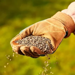 Miracle-Gro Perform Universal Plant Feed Granules 2kg -Draper Tool Shop miracle gro perform universal plant feed granules 2kg5010272189032 01i BQ