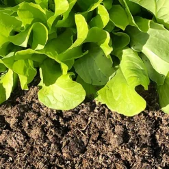 Natural Plant Feed And Soil Conditioner 7 Natural Plant Feed And Soil Conditioner -Draper Tool Shop natural plant feed and soil conditioner5060627680042 03c MP