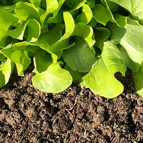 Natural Plant Feed And Soil Conditioner 5 Natural Plant Feed And Soil Conditioner - Image 3