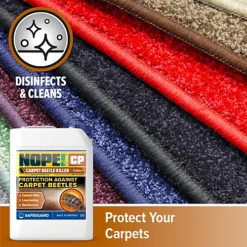 NOPE CP Carpet Beetle Killer Spray (5 L) Fast-acting, Odourless, Repellent And Disinfectant Carpet Beetle Spray. HSE Approved -Draper Tool Shop nope cp carpet beetle killer spray 5 l fast acting odourless repellent and disinfectant carpet beetle spray hse approved5060132766323 04c MP