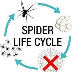 NOPE Spider Killer Spray Repellent - 500ml - Kills On Contact, Residual Action. Odourless, Non-Staining. HSE Registered -Draper Tool Shop nope spider killer spray repellent 500ml kills on contact residual action odourless non staining hse registered5060132766231 03c MP