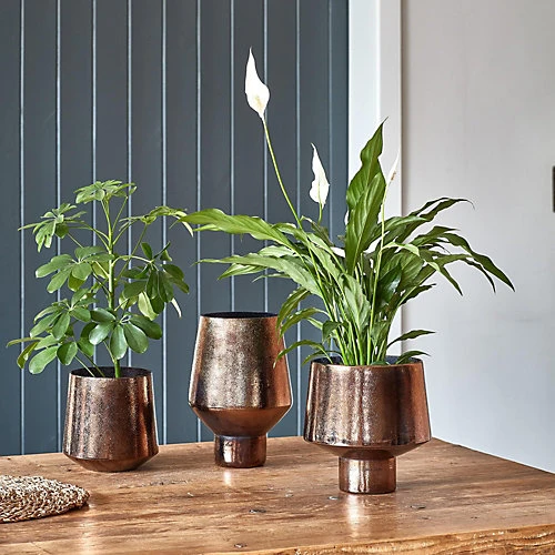 Opulent Curved Metallic Bronze Planter H22Cm W20Cm 4 Opulent Curved Metallic Bronze Planter H22Cm W20Cm - Image 2