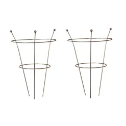 Pack Of 2 Tom Chambers Herbaceous Bare Rusted Steel Garden Plant Support Medium 54cm X 40cm