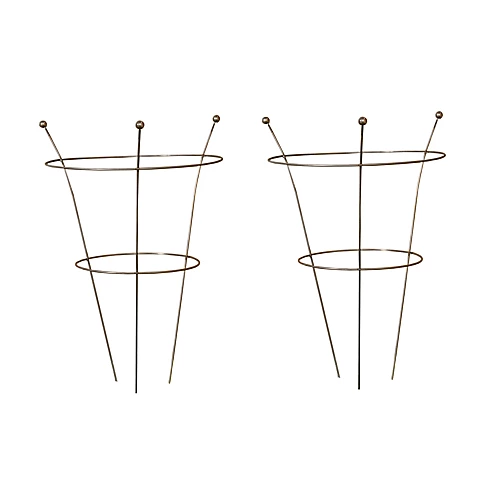 Pack Of 2 Tom Chambers Herbaceous Bare Rusted Steel Garden Plant Support Medium 54cm X 40cm 3 Pack Of 2 Tom Chambers Herbaceous Bare Rusted Steel Garden Plant Support Medium 54cm X 40cm