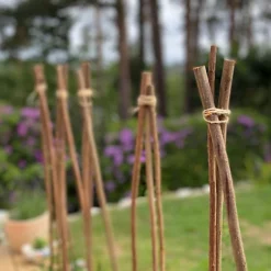 Pack Of 20 Willow Pea & Bean Support Sticks (120cm) -Draper Tool Shop pack of 20 willow pea bean support sticks 120cm 5060575105505 04c MP
