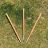 Pack Of 3 Coco Fibre Palm Stick Plant Supports (80cm) 1 Pack Of 3 Coco Fibre Palm Stick Plant Supports (80cm) -Draper Tool Shop pack of 3 coco fibre palm stick plant supports 80cm 5060266599668 01c MP