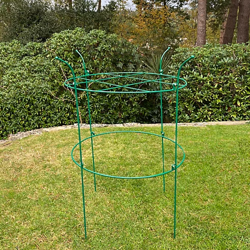 Pack Of 3 Peony Circular Metal Plant Supports (90cm) 3 Pack Of 3 Peony Circular Metal Plant Supports (90cm)