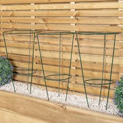 Pack Of 3 Tom Chambers Urban Green Conical Garden Plant Support Ring 30cm - Medium 8 Pack Of 3 Tom Chambers Urban Green Conical Garden Plant Support Ring 30cm - Medium -Draper Tool Shop pack of 3 tom chambers urban green conical garden plant support ring 30cm medium5060559859561 03c MP