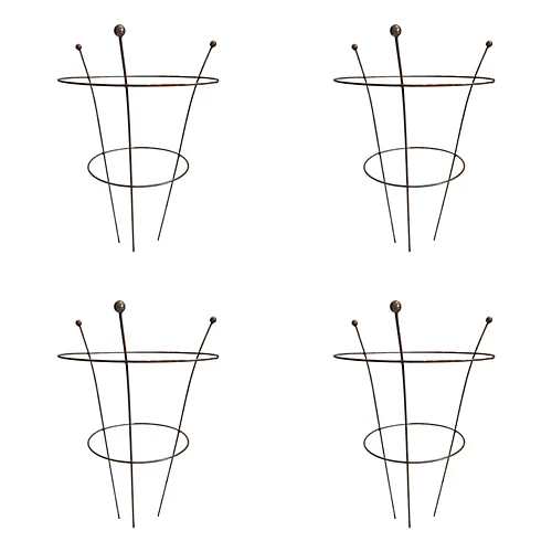 Pack Of 4 Tom Chambers Herbaceous Bare Rusted Steel Garden Plant Support Medium 54cm X 40cm 3 Pack Of 4 Tom Chambers Herbaceous Bare Rusted Steel Garden Plant Support Medium 54cm X 40cm