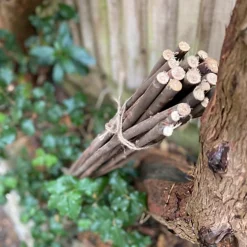 Pack Of 40 Willow Pea & Bean Support Sticks (120cm) -Draper Tool Shop pack of 40 willow pea bean support sticks 120cm 5060266597398 02c MP