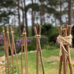 Pack Of 40 Willow Pea & Bean Support Sticks (120cm) -Draper Tool Shop pack of 40 willow pea bean support sticks 120cm 5060266597398 04c MP