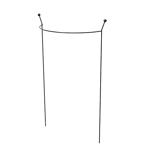 Panacea Steel Curved Plant Support (L)76cm (Dia)46cm 3 Panacea Steel Curved Plant Support (L)76cm (Dia)46cm