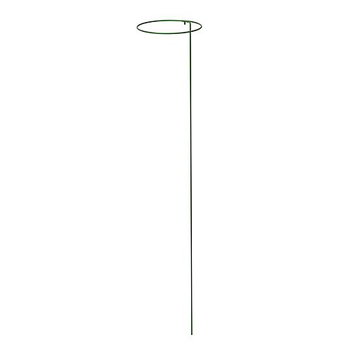 Panacea Steel Single Stem Plant Support (L)122cm (Dia)20.3cm, Pack Of 3 3 Panacea Steel Single Stem Plant Support (L)122cm (Dia)20.3cm, Pack Of 3