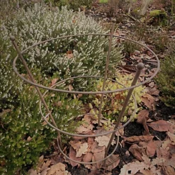 Peony Herbaceous Plant Support Frame Garden Flower Stand Ring Cage (H)51cm (Dia)40cm 7 Peony Herbaceous Plant Support Frame Garden Flower Stand Ring Cage (H)51cm (Dia)40cm -Draper Tool Shop peony herbaceous plant support frame garden flower stand ring cage h 51cm dia 40cm5060863620987 02c MP