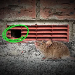 Pest Proofing Air Brick Cover By MouseMesh - Small Buff 255mm(W) X 105mm(H) -Draper Tool Shop pest proofing air brick cover by mousemesh small buff 255mm w x 105mm h 5060271900237 06c MP