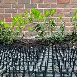 Plant Prickle Strip Dig Stopper Anti Dog And Cat Protection (2m X 30cm) -Draper Tool Shop plant prickle strip dig stopper anti dog and cat protection 2m x 30cm 5060575103976 02c MP