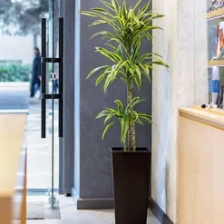 Plantsmith House Plant Care Mist Eco Refill Bottle, 500ml Fertiliser -Draper Tool Shop plantsmith house plant care mist eco refill bottle 500ml fertiliser5060874795391 04c MP