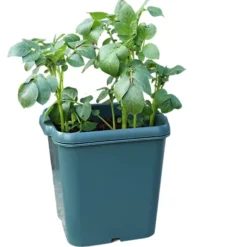 Potato Gro-Pot Patio Vegetable Patio Planter - Single -Draper Tool Shop potato gro pot patio vegetable patio planter single5019226032394 04c MP