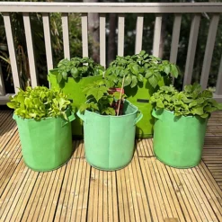 Potato & Vegetable Planter Grow Bags (Set Of 5) Non - Woven Aeration Fabric Pots