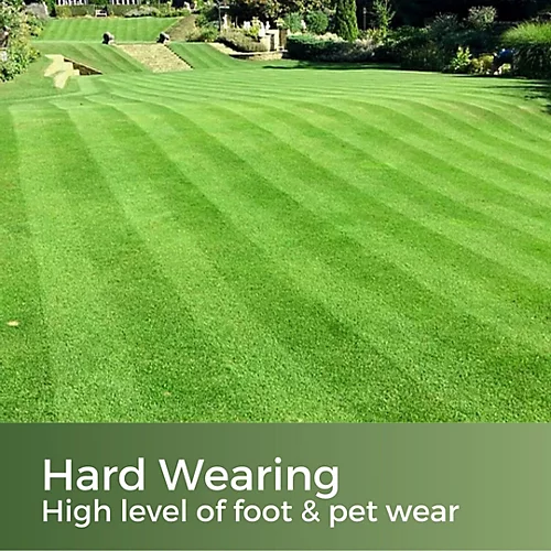 Premium Hard Wearing Grass Seed 2kg (30-100m²) 4 Premium Hard Wearing Grass Seed 2kg (30-100m²) - Image 2