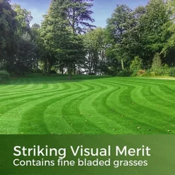 Premium Hard Wearing Grass Seed 2kg (30-100m²) 8 Premium Hard Wearing Grass Seed 2kg (30-100m²) -Draper Tool Shop premium hard wearing grass seed 2kg 30 100m 5065007977736 03c MP