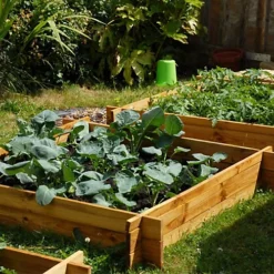 Primrose 200L Chamberlain Garden Wooden Raised Grow Bed 100cm X 100cm -Draper Tool Shop primrose 200l chamberlain garden wooden raised grow bed 100cm x 100cm5055372327595 06c MP