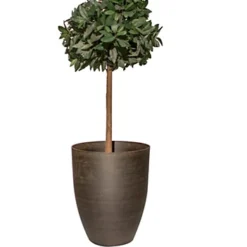 Primrose Black Cortina Stone Cone Round Tall Garden Planter 53cm -Draper Tool Shop primrose black cortina stone cone round tall garden planter 53cm5055837273313 04c MP