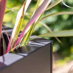 Primrose Gunmetal Black Galvanised Zinc Rectangular Garden Planter Plant Pot Large 75cm X 32cm -Draper Tool Shop primrose gunmetal black galvanised zinc rectangular garden planter plant pot large 75cm x 32cm5055372319194 04c MP