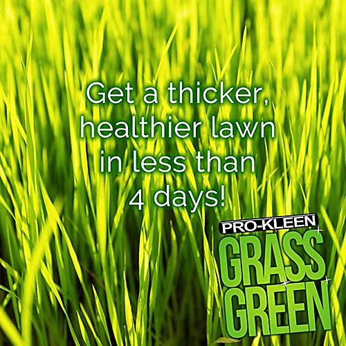 Pro-Kleen Grass Green Lawn Fertiliser 5KG - Professional Grass Fertiliser For Thick Green Grass 4 Pro-Kleen Grass Green Lawn Fertiliser 5KG - Professional Grass Fertiliser For Thick Green Grass - Image 2